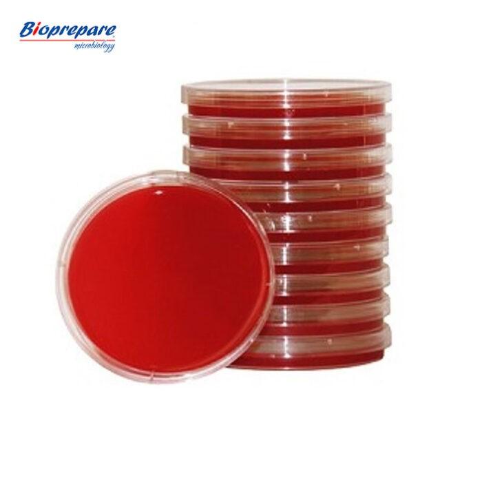 Bioprepare Blood Agar - Mac Conkey Agar Plates 10 pcs