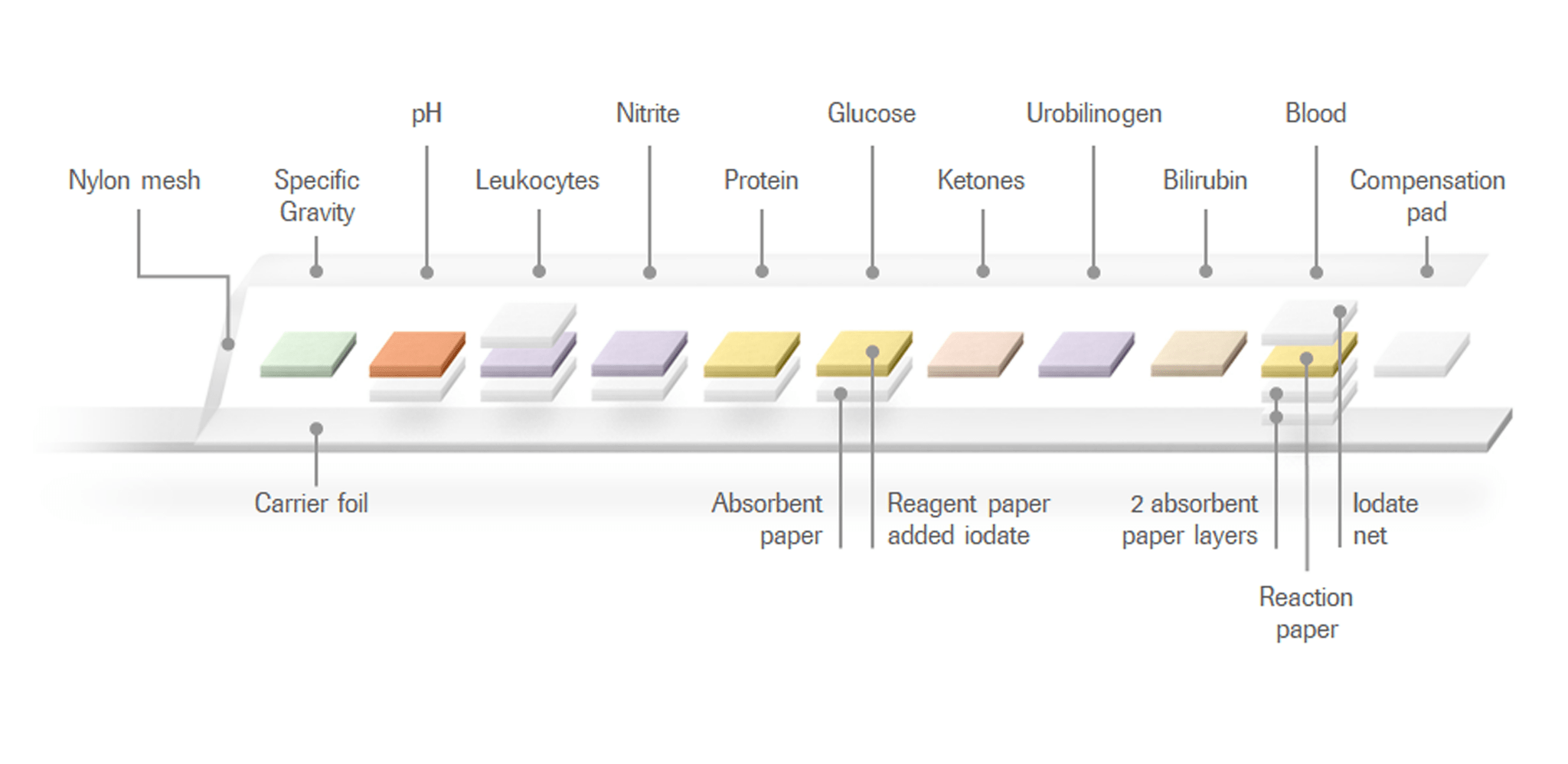 M testing. Urinalysis Protein. Тест 10 ИХА+ этил.